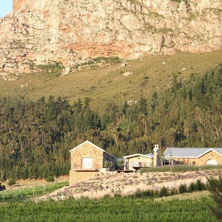 Franschhoek Pass Villa المظهر الخارجي الصورة